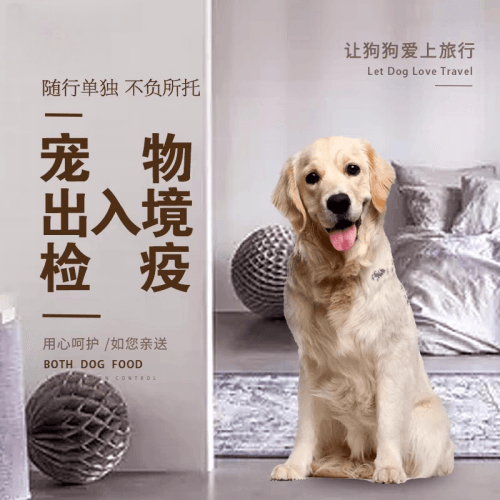 长宁区宠物托运到哥伦比亚猫狗宠物入境规定和