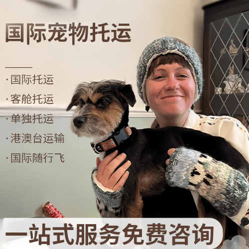 长宁区国际宠物托运到阿根廷宠物入境规定和要