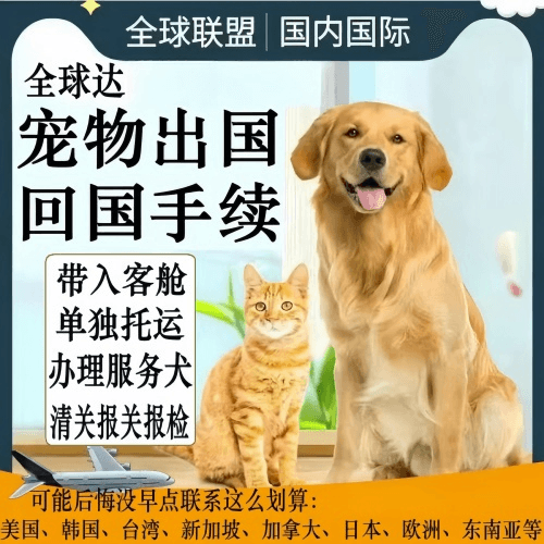 长宁区宠物托运到柬埔寨宠物入境规定和要求